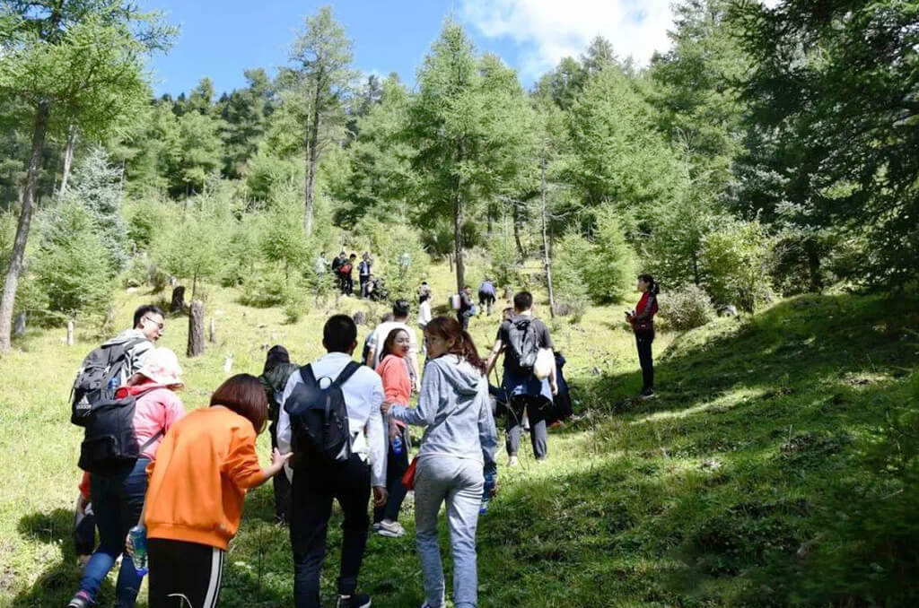 Actividades de equipo